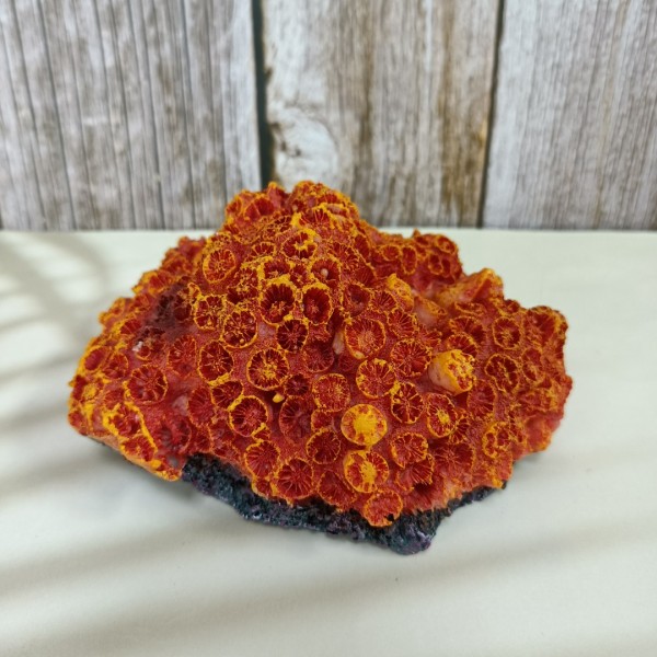 CIPIDI Aquarium Ornaments Resin Coral Reef Aquarium 